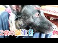【ハッピー】2歳になりました【バースデー】