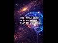 The human brain is more complex than the universe#Brain #Universe #Science