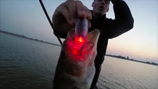 Bass Fishing with Light-Up Lures?!?!?!?!? 