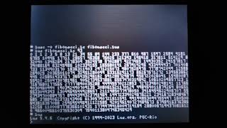 Software Ports for Nintendo DSLinux