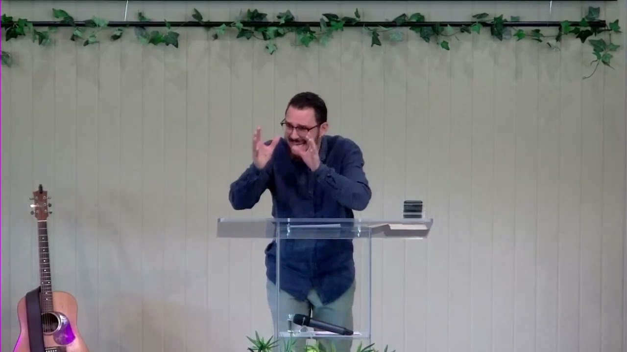 08/02/2026 - Nathan Vella - Bird Watching