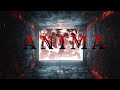 Boo  anima official lyric