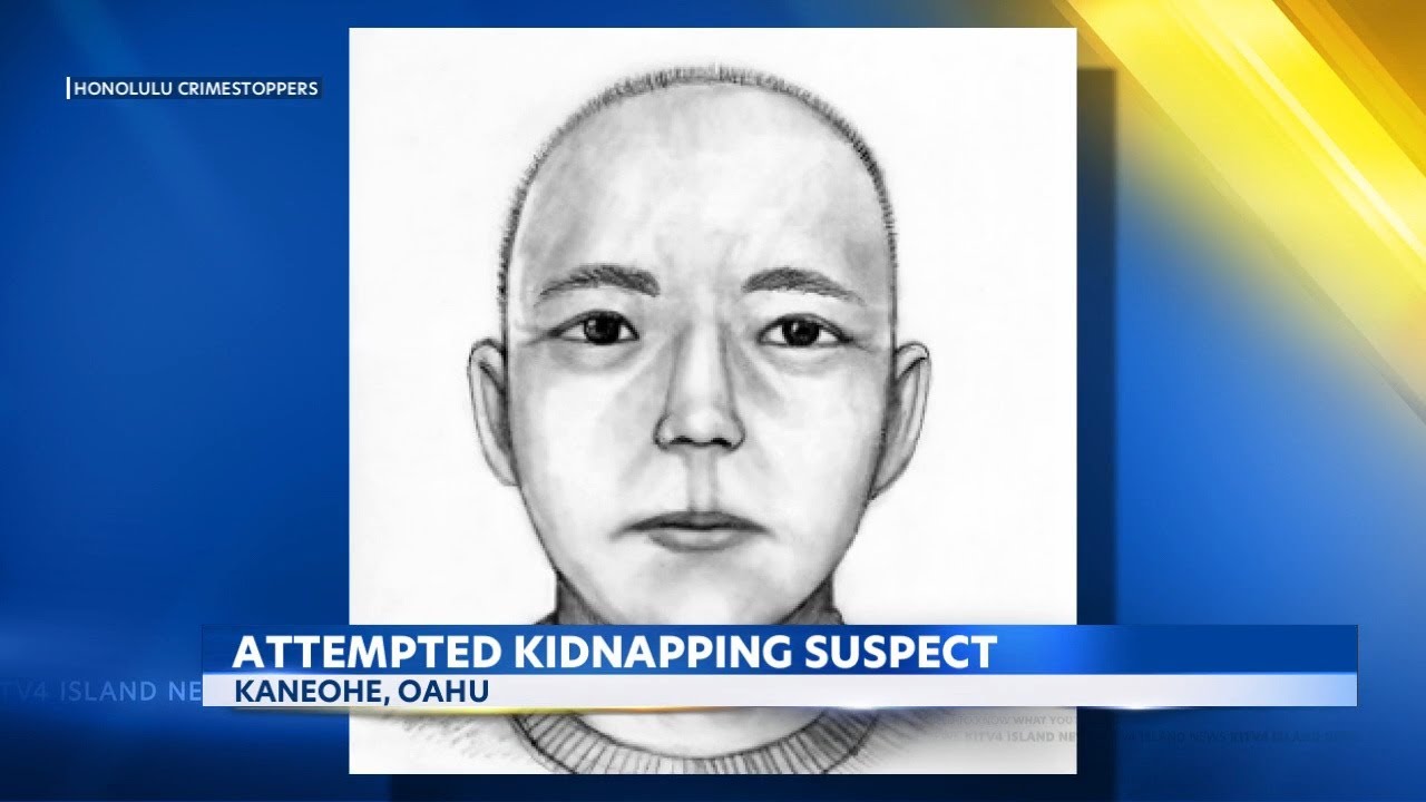 New details, sketch released of suspect in attempted kidnapping in ...