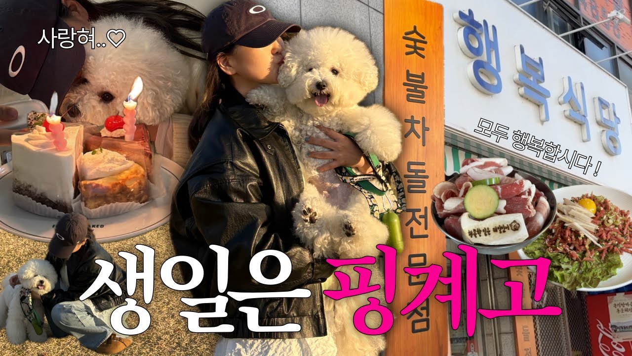 Vlog 생일을 핑계로 우리들만의 시간 보내는 방법 (행복 뭐 별거 없다 이거야), 서울 식물원, 행복식당, 마곡 느좋 애견동반 카페