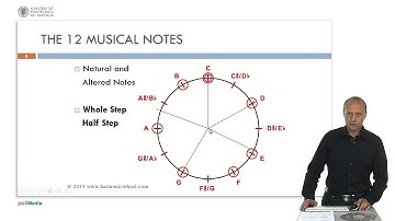 The 12 Musical Notes | 2/8 | UPV