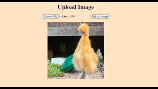 Firebase storage - uploading and displaying images on a webpage