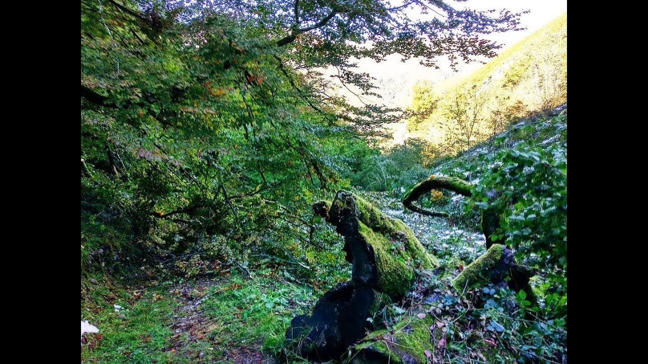 Asturias Muniellos Trip