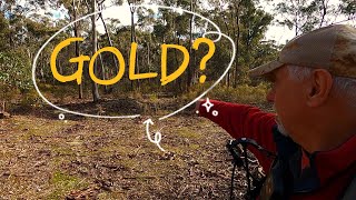 Gold prospecting in Muckleford Victoria on a raked and cleared patch with the Minelab GPZ7000