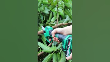 Kéo Cắt Cành WorkFix CP30BL - Mở Lưỡi 4cm - Đường kính cắt tối đa 3cm