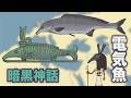 発電魚暗黒神話　地球の歴史その１４５　電気を作る発電魚は少なくとも６回進化しました　世界の発電魚を紹介します