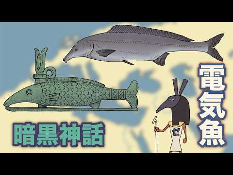 発電魚暗黒神話　地球の歴史その１４５　電気を作る発電魚は少なくとも６回進化しました　世界の発電魚を紹介します