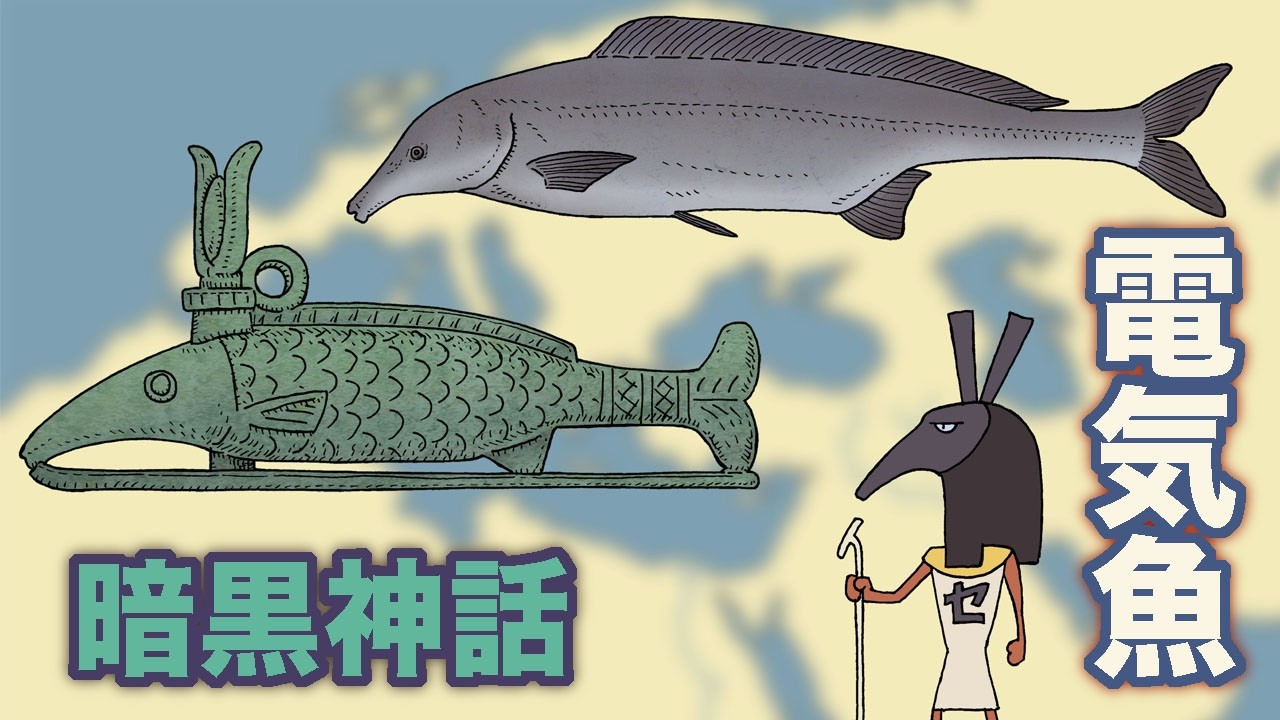 発電魚暗黒神話　地球の歴史その１４５　電気を作る発電魚は少なくとも６回進化しました　世界の発電魚を紹介します