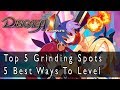 Disgaea 1 Complete - Top 5 Grinding Stages/ Best Ways To Level Up, Earn HL