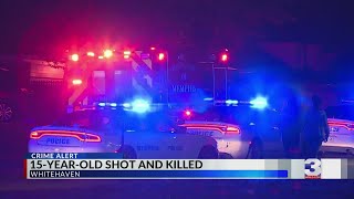 ‘They were coming to kill somebody’: Teen shot in Whitehaven home