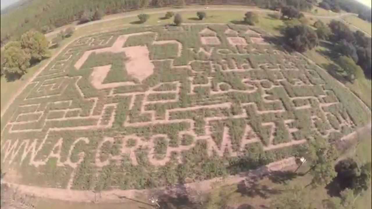 Amazing Grace Crop Maze 2014 aerial video by Legrandphoto