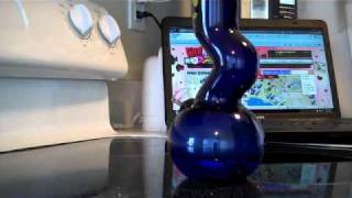 Long Beach Strain Review: Snoopys Kush