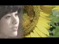 ひまわりの小径(カバー曲)♩R2 天地真理