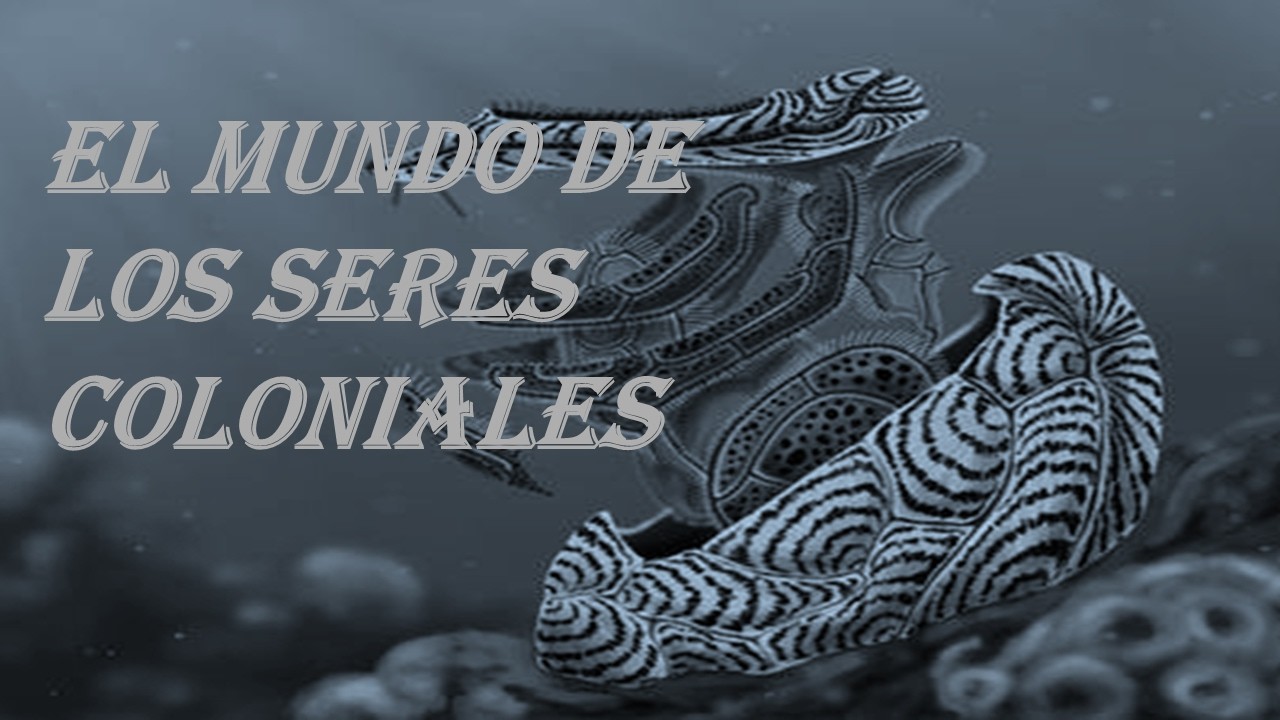 Los mares de Polinices