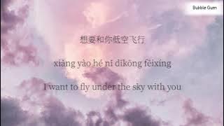 失眠飞行 ( Shi Mian Fei Xing ) - Insomnia Flight [ Pinyin/Lyrics/Engsub ] || Chinese Tik Tok