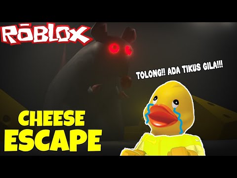 Tikus Jahat Mencari