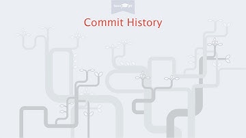 Commit History [Learn Git Video Course]