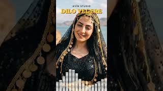 Strana Dilo Vegere Demekê Nêz De...