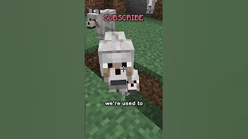NEW WOLF PERSONALITIES 