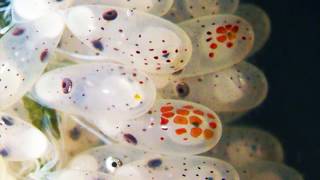 9 Strange Things Washed Up From The Sea