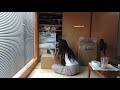 Tokyo diary / 引っ越し準備、最後の家と新しい家