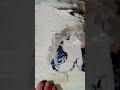 ¡ No Creerás el Resultado! Cuadro de Gatitos Enamorados con Glitter y Mariposas en Relieve