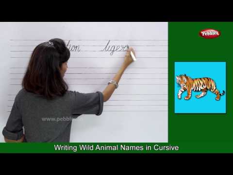 Farm Animals For Babies | Domestic Animals For Children | Wild Animals | Birds | Cursive Writing