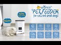 Dokoo automatic pet feeder