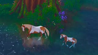 I Secretly Follow Spirit And Rain in Star Stable Online