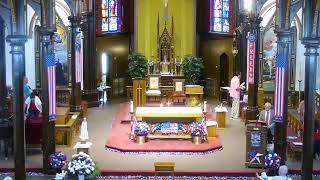 St.Ignatius Loyola RC Church, New York,  Fourteenth Sunday in Ordinary Time , Live Holy Mass at 9AM