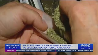 Ny Lawmakers P Bill To Legalize Recreational Marijuana