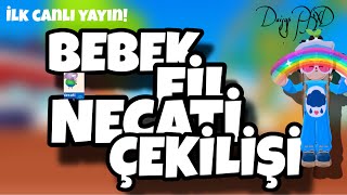 BEBEK FİL NECATİ ÇEKİLİŞİ||İLK CANLI YAYIN!||DAİSY PKXD