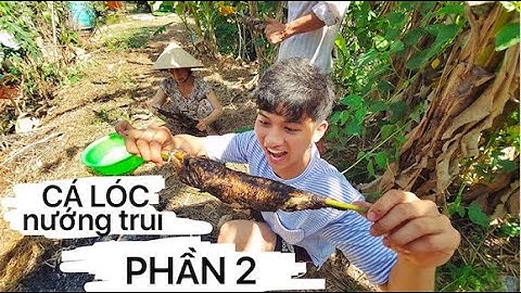 [PHẦN 2 OFFICAL] Món đặc sản CÁ LÓC NƯỚNG TRUI - MIỀN TÂY với Cậu Bé Đi Lạc và Bà Bảy Vlog