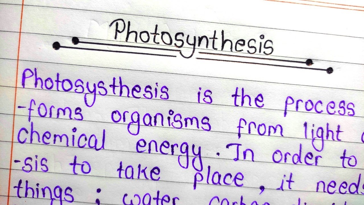 short essay on process of photosynthesis