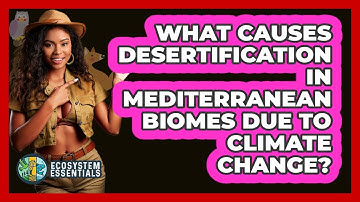 What Causes Desertification In Mediterranean Biomes Due To Climate Change? - Ecosystem Essentials