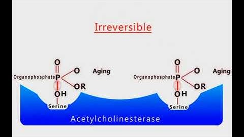Organophosphate Poisoning animation