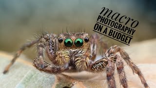 DIY Diffuser for Built-in camera flash  "Macro photography on a budget"