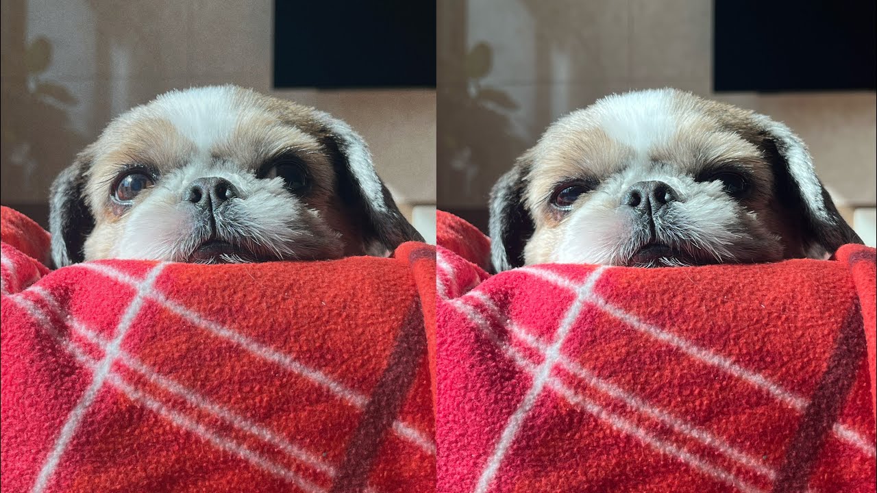 평범하지만 행복한 하루