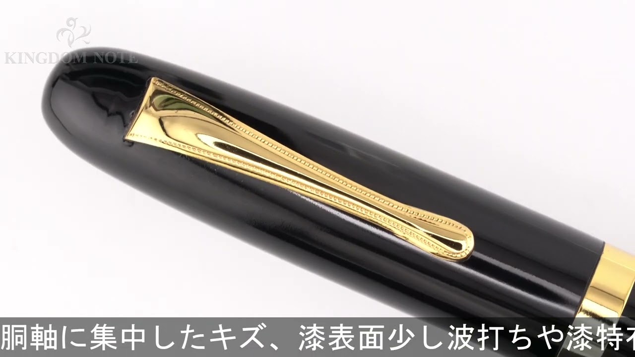 エボナイト インキ止め式 万年筆 酒井軸 兜木ペン先