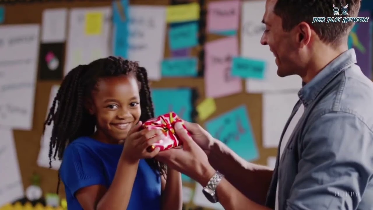 The Abandoned Puppy Who Became a Therapy Dog – A Rescue Dog’s Remarkable Transformation