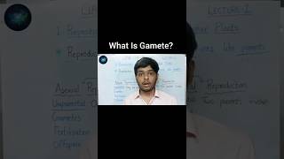 What Is Gamete? Reproduction In Lower And Higher Plants Scicom Academy