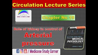 Circulation |Chap 19 |Role of kidney in control of Arterial Pressure |CVS |Guyton