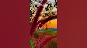 آيات من سورة لقمان@shaiy1 #دويتو #فولو #تيك_توك #كومنت #لايك #duet #اكسبلورر #اكسبلور