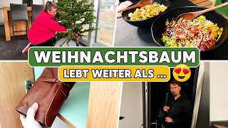 Couple Vlog - Süßes DIY - Weihnachtsbaum sinnvoll verwerten | PrimaDina
