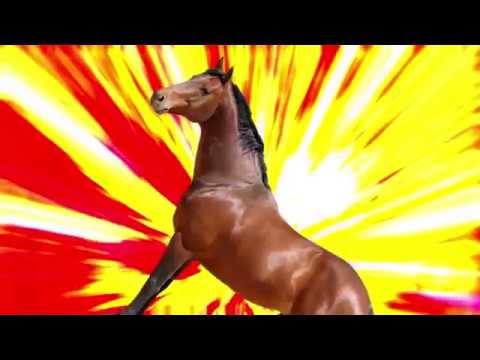 Ymodem Roblox GIF - Ymodem Roblox Ymodem horse - Discover & Share GIFs