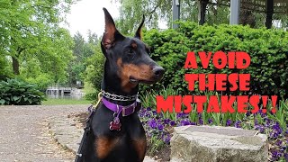 How to TRAIN & CORRECT a dog with PRONG COLLAR